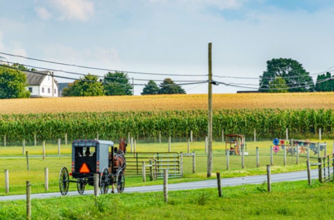 WASHINGTON Y AMISH 