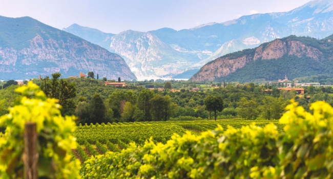 FANTASIA LAGOS DEL NORTE, MILAN CON BERNINA EXPRESS Y FRANCIACORTA