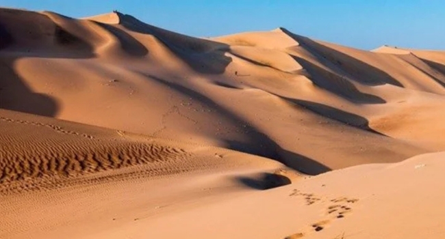 DUNAS Y VIEDOS