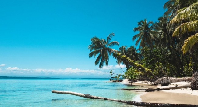 DESCUBRE BOCAS Y CIUDAD DE PANAMA