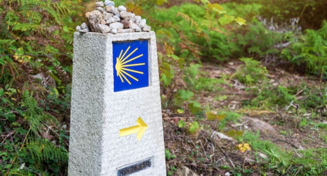 Camino de Santiago - Portugus