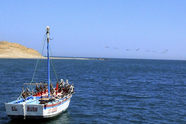 Playas del Norte - Extensi�n