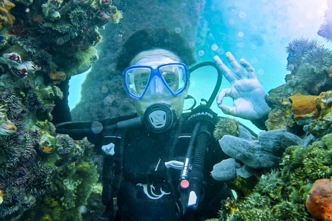 Playas del Norte - Extensi�n