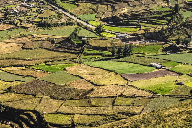 Arequipa y Ca�on de Colca - Extensi�n