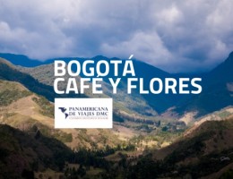BOGOTA, CAFE Y FLORES