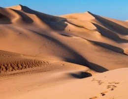 DUNAS Y VIEDOS