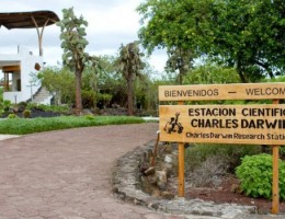 GALAPAGOS ISLAND HOPPING 